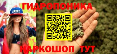 стаф Жуковский