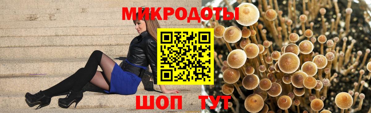 Псилоцибиновые грибы ЛСД  Галлюциногенные грибы GOLDEN TEACHER  Кудрово  Вход с VPN 
